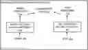 Fig. 01 - MEMORY-OPTIMIZED CONTRASTIVE LEARNING