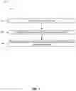 Fig. 02 - PREDICTING TOLERABILITY IN AGGRESSIVE NON-HODGKIN LYMPHOMA
