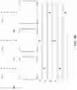 Fig. 11 - Pulsed charged-particle beam system