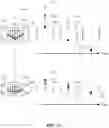 Fig. 12 - Pulsed charged-particle beam system