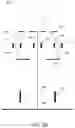 Fig. 04 - Systems and methods for real time stereo imaging using multiple electron beams