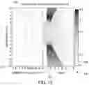 Fig. 11 - POLE PIECE FOR A TRANSMISSION ELECTRON MICROSCOPE