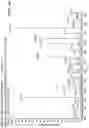Fig. 07 - Mass spectrometry analysis of microorganisms in samples