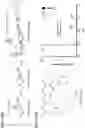 Fig. 29 - Mass spectrometry analysis of microorganisms in samples