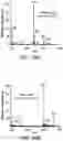 Fig. 35 - Mass spectrometry analysis of microorganisms in samples