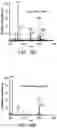 Fig. 37 - Mass spectrometry analysis of microorganisms in samples