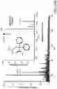 Fig. 41 - Mass spectrometry analysis of microorganisms in samples