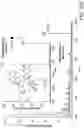 Fig. 42 - Mass spectrometry analysis of microorganisms in samples