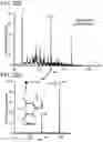 Fig. 44 - Mass spectrometry analysis of microorganisms in samples