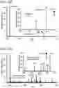 Fig. 46 - Mass spectrometry analysis of microorganisms in samples