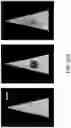 Fig. 47 - Mass spectrometry analysis of microorganisms in samples