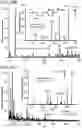 Fig. 48 - Mass spectrometry analysis of microorganisms in samples