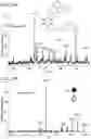 Fig. 53 - Mass spectrometry analysis of microorganisms in samples