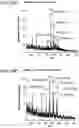 Fig. 58 - Mass spectrometry analysis of microorganisms in samples
