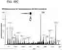 Fig. 60 - Mass spectrometry analysis of microorganisms in samples