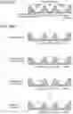 Fig. 64 - Mass spectrometry analysis of microorganisms in samples