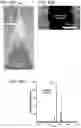 Fig. 66 - Mass spectrometry analysis of microorganisms in samples