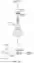 Fig. 68 - Mass spectrometry analysis of microorganisms in samples