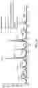 Fig. 72 - Mass spectrometry analysis of microorganisms in samples