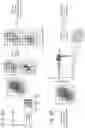 Fig. 03 - MASS SPECTROMETRY IMAGING