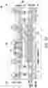 Fig. 11 - Staggered Metal Mesh on Backside of Device Die and Method Forming Same