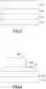 Fig. 04 - LIGHT EMITTING ASSEMBLY AND METHOD OF TRANSFER PRINTING A MICRO-LED