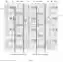 Fig. 02 - ARRAY SUBSTRATE, LIGHT-EMITTING SUBSTRATE AND DISPLAY DEVICE