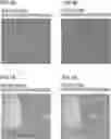 Fig. 06 - Gating camera, sensing system for vehicle, and lighting unit for vehicle
