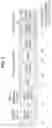 Fig. 02 - Method and apparatus for transmitting and receiving signal in wireless communication system