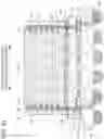 Fig. 20 - MEMORY UNIT, SEMICONDUCTOR MODULE, DIMM MODULE, AND MANUFACTURING METHOD FOR SAME