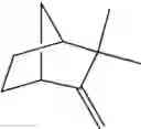 Fig. 30 - Compositions comprising a serotonergic tryptamine compound