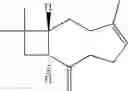 Fig. 33 - Compositions comprising a serotonergic tryptamine compound
