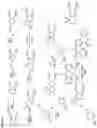 Fig. 10 - Deuterated analogs of elacridar