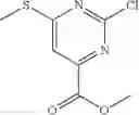 Fig. 28 - CD38 INHIBITORS