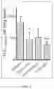 Fig. 03 - PHARMACEUTICAL PREPARATION FOR IMPROVING ABSORPTION AND POSTPRANDIAL HYPOGLYCEMIC ACTION OF INSULIN