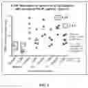 Fig. 04 - PHARMACEUTICAL PREPARATION FOR IMPROVING ABSORPTION AND POSTPRANDIAL HYPOGLYCEMIC ACTION OF INSULIN