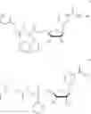 Fig. 08 - Nicotinamide mononucleotide derivatives and their uses