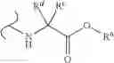 Fig. 28 - Nicotinamide mononucleotide derivatives and their uses