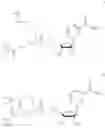 Fig. 315 - Nicotinamide mononucleotide derivatives and their uses