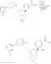Fig. 371 - Nicotinamide mononucleotide derivatives and their uses