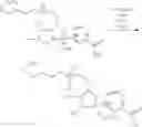 Fig. 426 - Nicotinamide mononucleotide derivatives and their uses