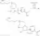 Fig. 427 - Nicotinamide mononucleotide derivatives and their uses