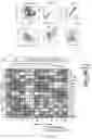 Fig. 43 - MODULATION OF T CELL CYTOTOXICITY AND RELATED THERAPY