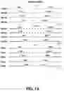 Fig. 02 - VIRAL NUCLEIC ACID MOLECULES, AND COMPOSITIONS AND METHODS OF USE THEREOF