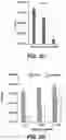 Fig. 06 - VIRAL NUCLEIC ACID MOLECULES, AND COMPOSITIONS AND METHODS OF USE THEREOF