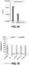 Fig. 07 - VIRAL NUCLEIC ACID MOLECULES, AND COMPOSITIONS AND METHODS OF USE THEREOF