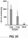 Fig. 09 - VIRAL NUCLEIC ACID MOLECULES, AND COMPOSITIONS AND METHODS OF USE THEREOF