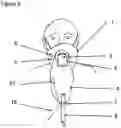 Fig. 04 - FACE MASK AND SYSTEM