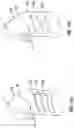 Fig. 12 - FACE MASK AND SYSTEM