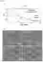 Fig. 06 - HYBRID STRUCTURE, MANUFACTURING METHOD FOR THE SAME, AND FOG CAPTURE INCLUDING THE SAME